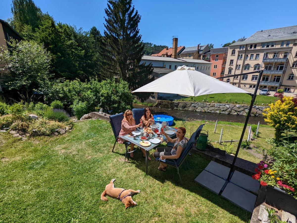 Zi2 - Urlaubsmagie - Whirlpool, Sauna Und Garten Apartman Sebnitz Kültér fotó