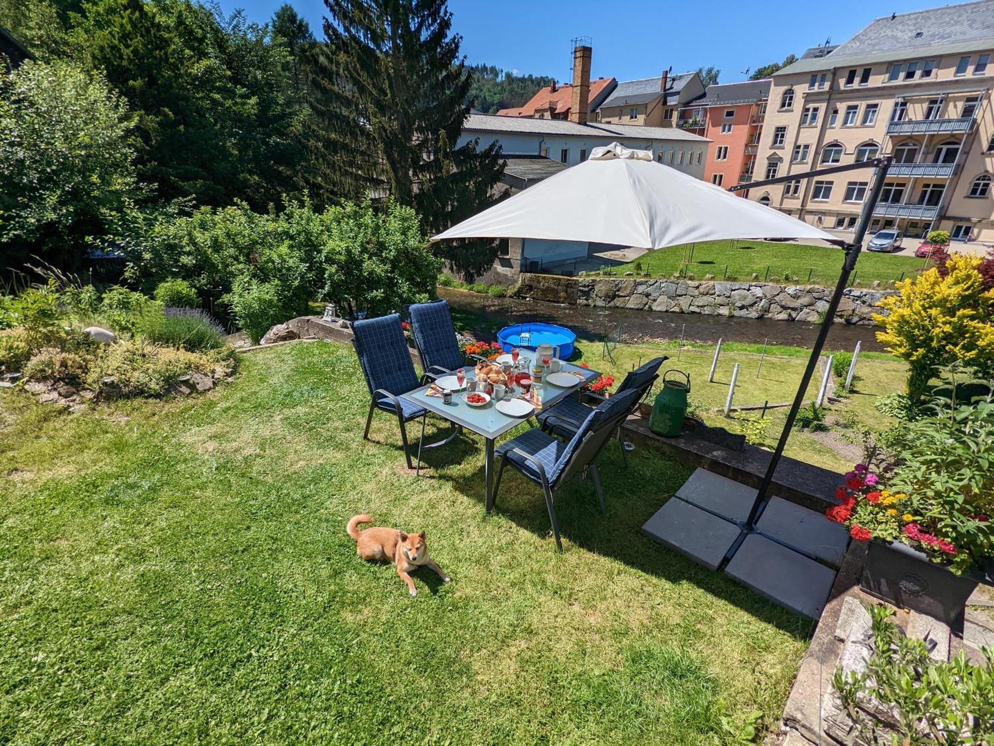 Zi2 - Urlaubsmagie - Whirlpool, Sauna Und Garten Apartman Sebnitz Kültér fotó