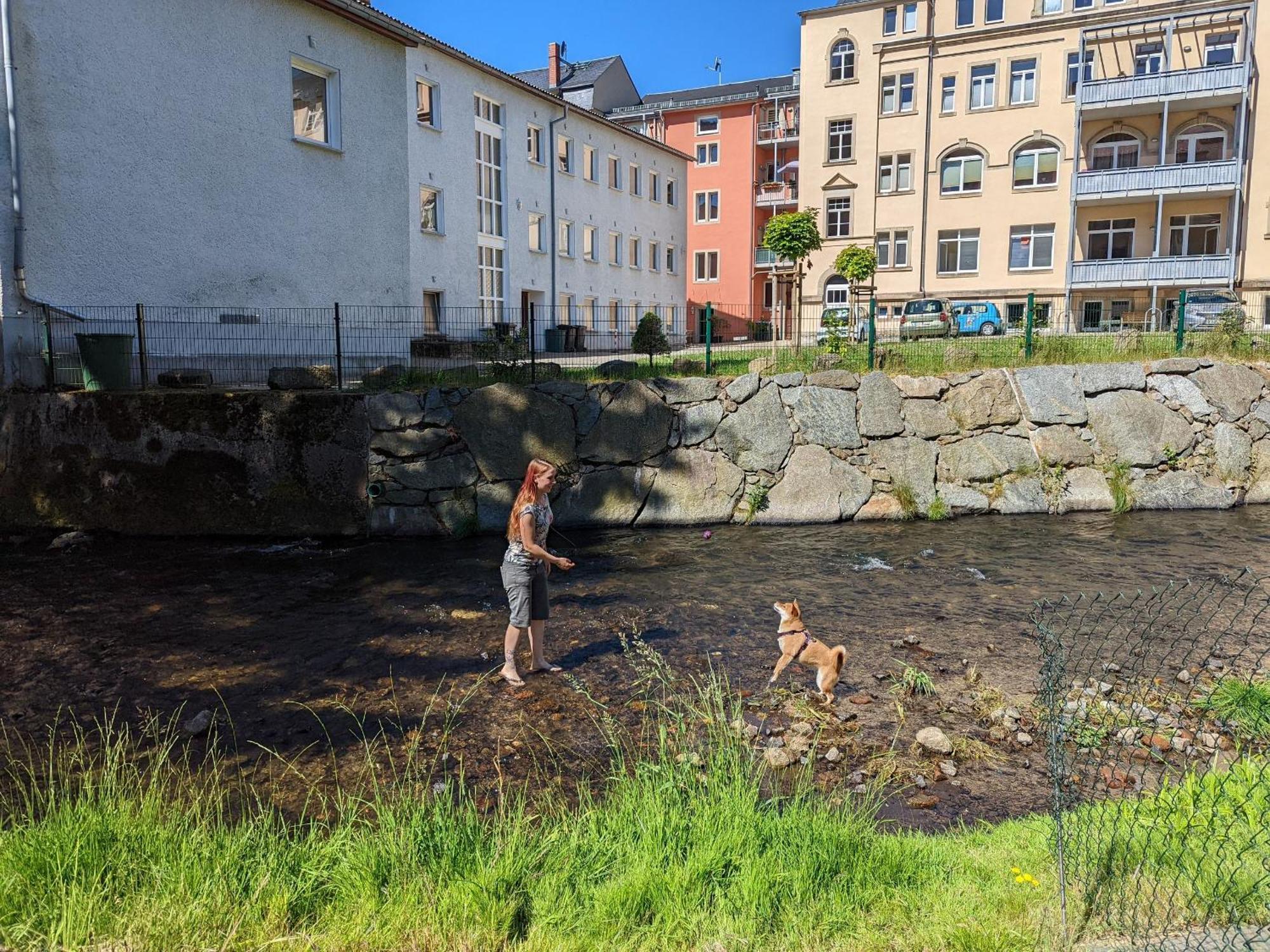 Zi2 - Urlaubsmagie - Whirlpool, Sauna Und Garten Apartman Sebnitz Kültér fotó