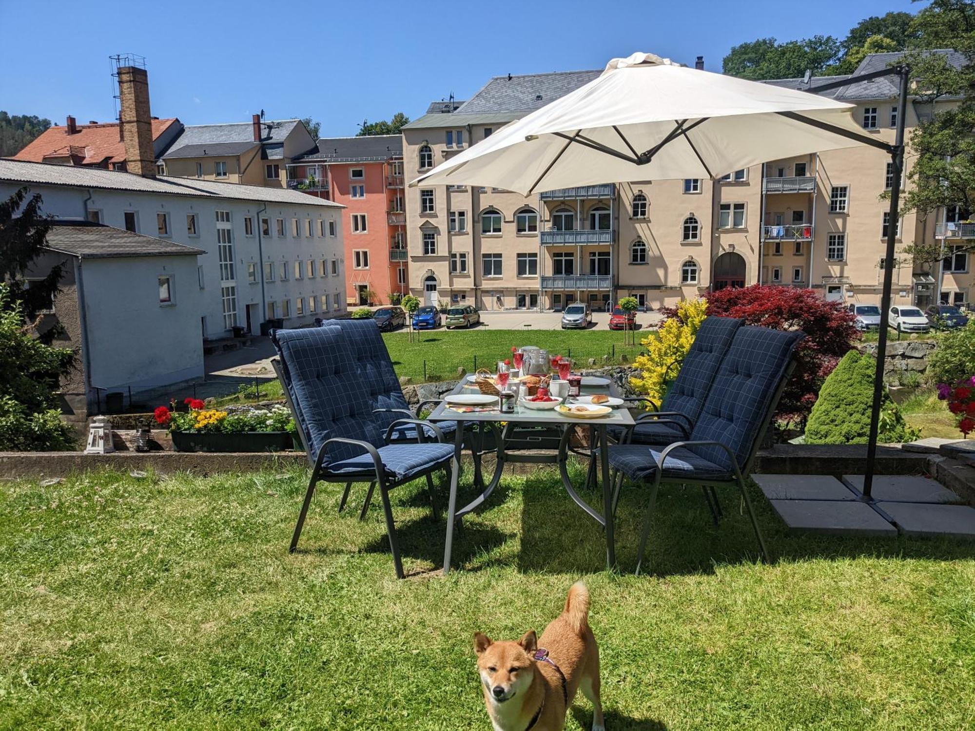 Zi2 - Urlaubsmagie - Whirlpool, Sauna Und Garten Apartman Sebnitz Kültér fotó